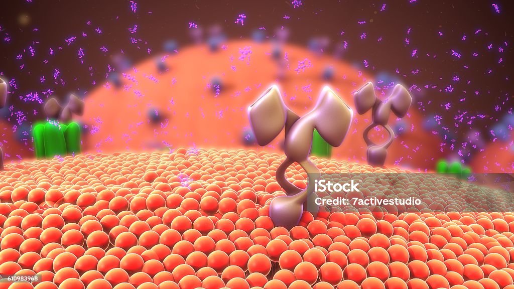 Cellsurface Receptors Stock Photo - Download Image Now - Receptor,  Membrane, Antigen - iStock