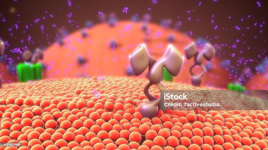 Cellsurface Receptors Stock Photo - Download Image Now - Receptor, Membrane, Antigen - iStock Cellsurface Receptors Stock Photo - Download Image Now - Receptor, Membrane, Antigen - iStock