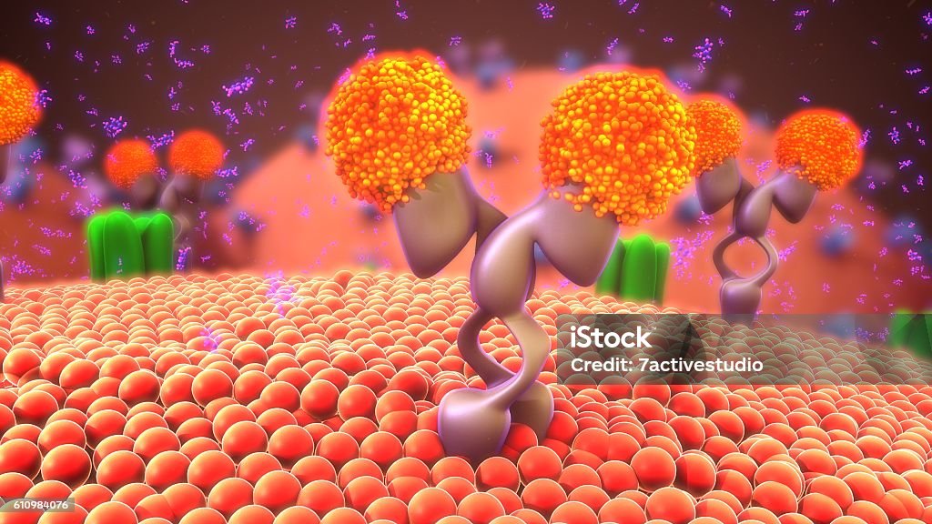 Cell Surface Receptors Stock Photo - Download Image Now - Receptor, Surface  Level, Antigen - iStock