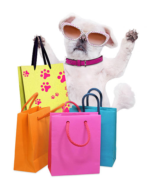 istock Dog with shopping bags . 610984916