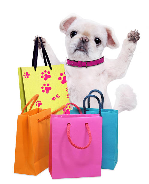 istock Dog with shopping bags . 610984970
