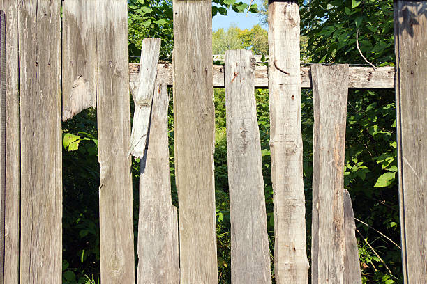 istock Old wooden fence grey color. Through the large cracks visible 610985922