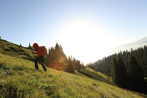 istock young woman backpacker hiking on beautiful mountain peak 610989210