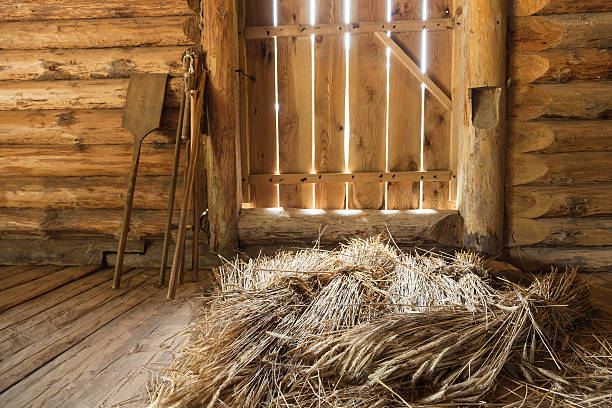 istock Hay sheaves in old wooden interior 610989354