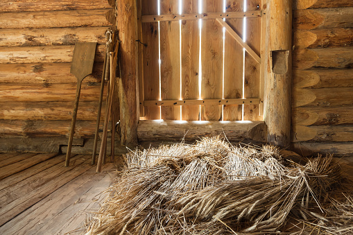 Hay sheaves in old wooden interior, rural Russian objects