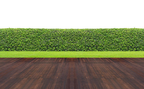 istock Lawn and wooden floor with hedge 611062400