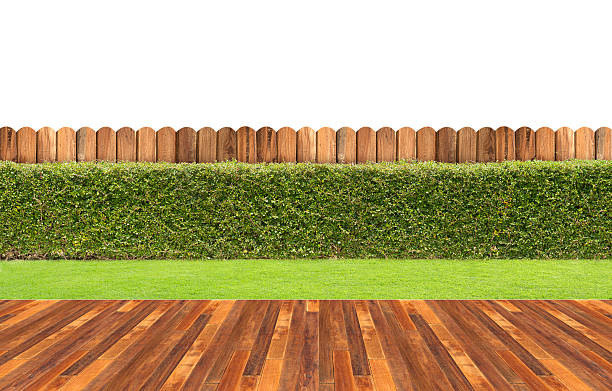 芝生と生け垣と木製の床 - fence formal garden gardening ornamental garden ストックフォトと画像