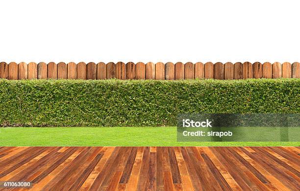 Lawn And Wooden Floor With Hedge Stock Photo - Download Image Now - Yard - Grounds, Fence, Deck