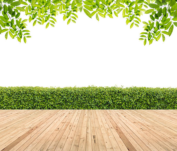 istock Lawn and wooden floor with hedge 611063248
