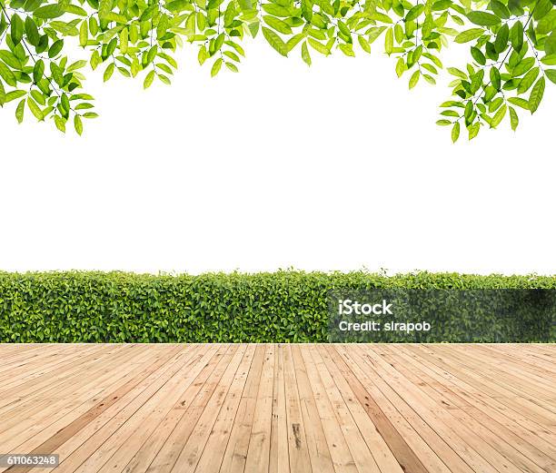 Lawn And Wooden Floor With Hedge Stock Photo - Download Image Now - Yard - Grounds, Deck, Wood - Material