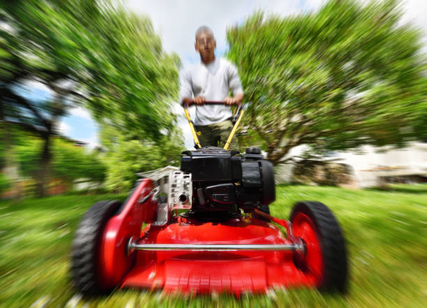 istock Mowing the lawn in nice green garden. 611068080