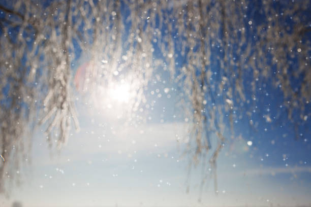 istock Close up of frozen branches and blue sky. 611068112