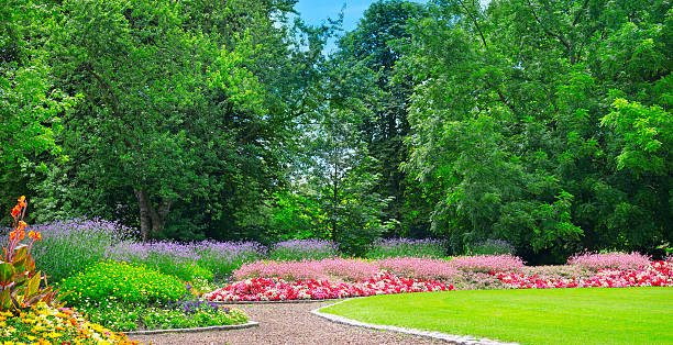 istock summer park with beautiful flowerbeds 611072798