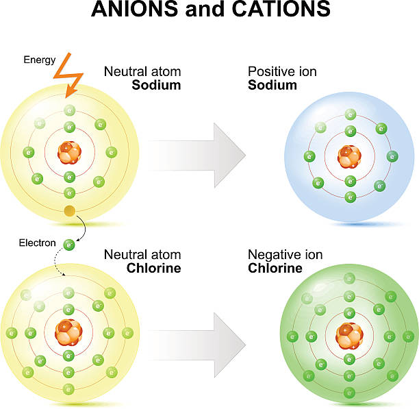 Anions and cations for example sodium and chlorine atoms. Anions and cations for example sodium and chlorine atoms. positive ion - atom that has one of its normal encircling electrons removed. An atom with an extra electron added is called a negative ion. ionic stock illustrations