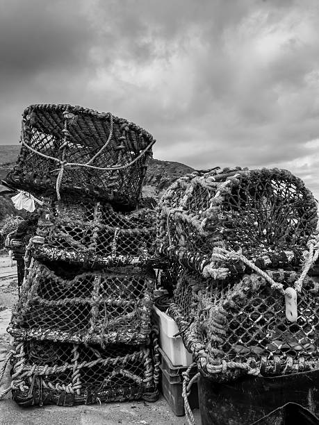 istock Lobster and crab pots stacked 4 high 611074190