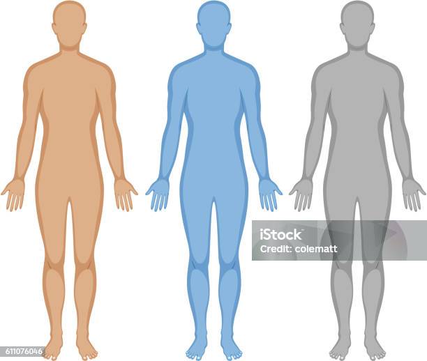 Menschlicher Körperumriss In Drei Farben Stock Vektor Art und mehr Bilder von Menschlicher Körper - Menschlicher Körper, Umrisslinie, Menschen