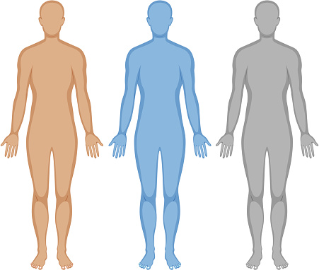 Human body outline in three colors illustration