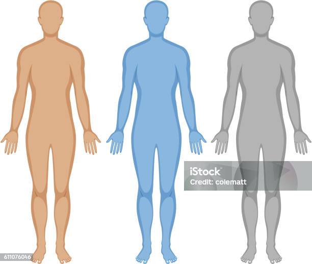 Human Body Outline In Three Colors Stock Illustration - Download Image Now - The Human Body, Outline, People