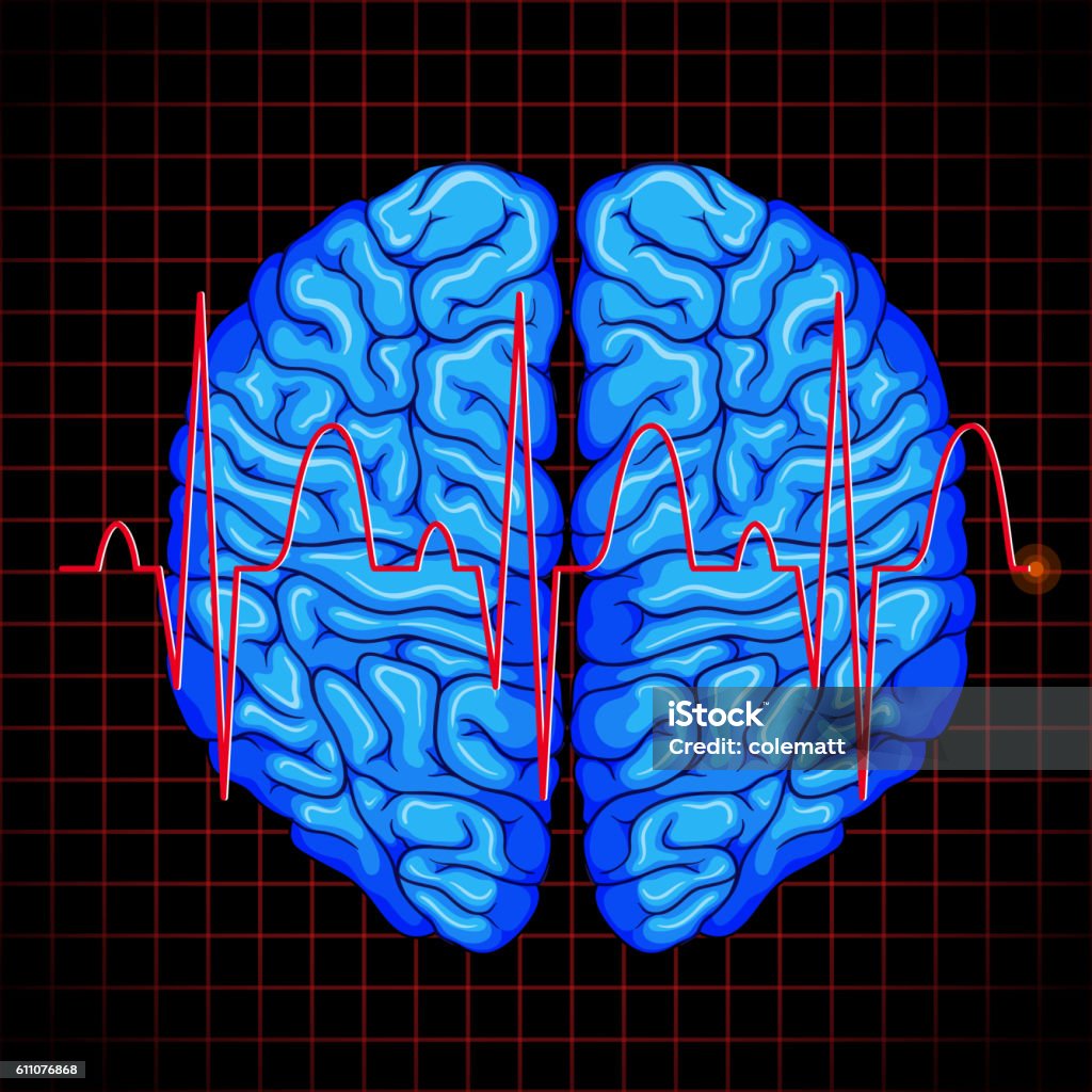 Brain Graph Simple Human Brain And Brain Graph On Grids Stock Illustration - Download ...