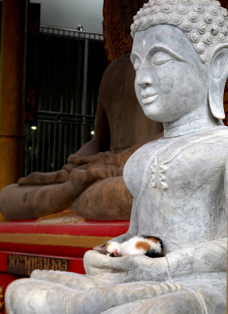 istock Statue of white seated Buddha from the side 611076980