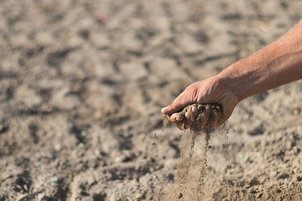 istock Hand holding a pile of soil above the ground. 611077046