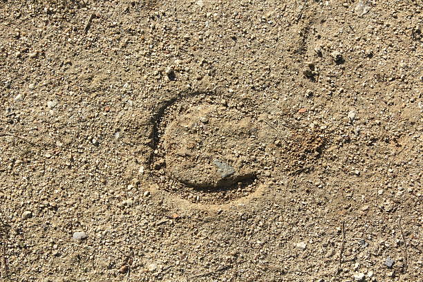 Background with horseshoe mark on the floor