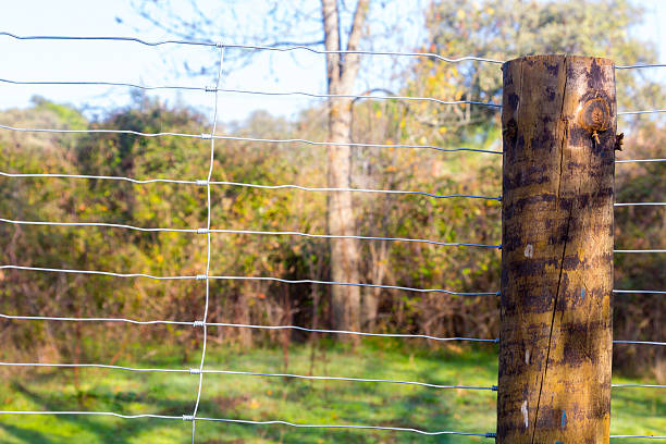 istock wooden post on a fence in the field 611082884