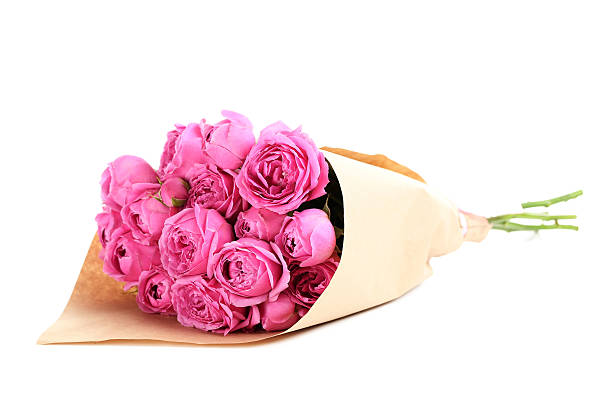 istock Beautiful pink roses isolated on a white 611083924