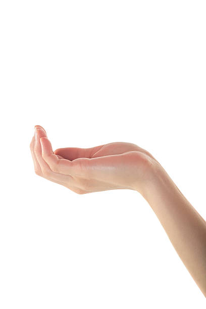 istock Female Hand is Holding Something Gently on Isolated White Backgr 611085640
