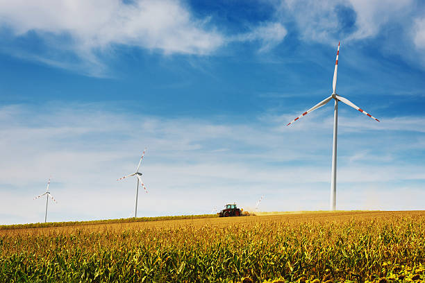 Tractor harvests corn in the field on sunny day with wind turbines and electricity production facilities. Image taken with Nikon D800 and 16-35mm pro lens, developed and processed from RAW and distributed in XXXL size. Location: countryside in Austria