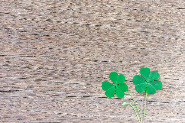 istock The clover leaf green placed on the wooden floor. 611088648
