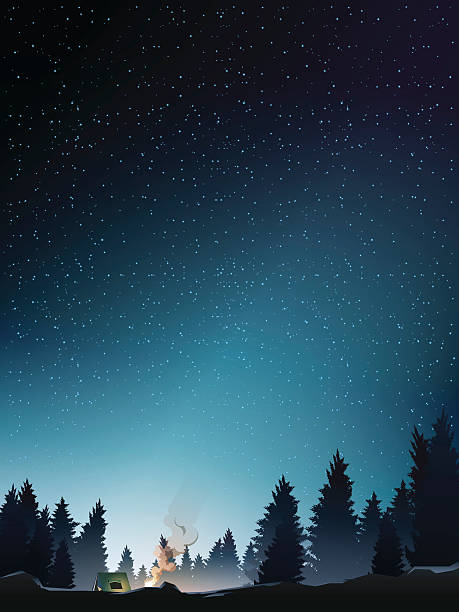 camp in pine wood perspective when starry night camp in pine wood perspective when starry night.vector midnight illustrations stock illustrations