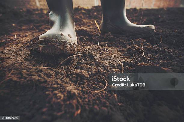 Muddy Gardening Boots Stock Photo - Download Image Now - Dirt, Boot, Mud