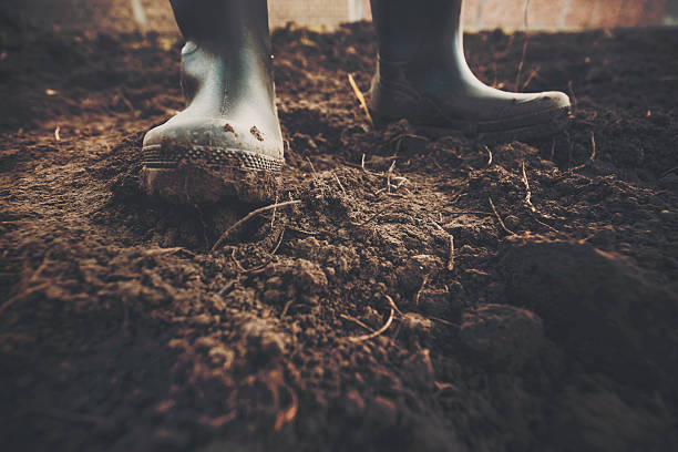 muddy jardinagem botas - lama solo - fotografias e filmes do acervo