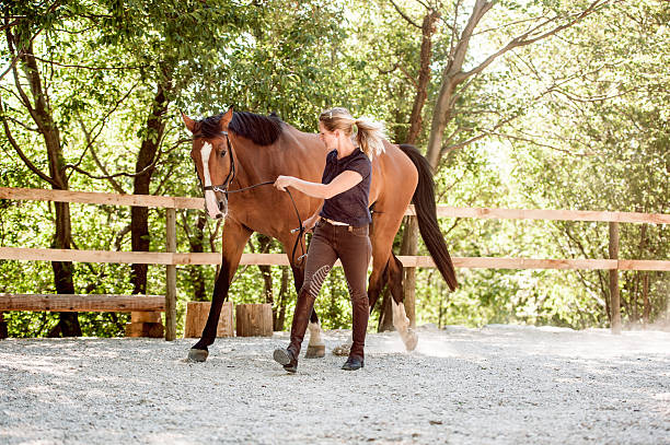 istock Young Woman Lunge a Horse 611096824