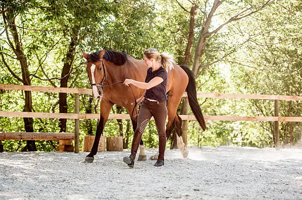 Photo of Young Woman Lunge a Horse