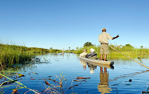 Startled Elephants run from a water hole in the Okavango Delta, Botswana