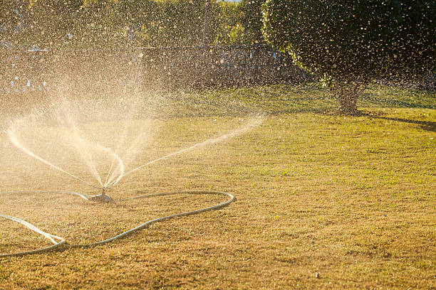 istock Garden Sprinkler at dusk. 611101176