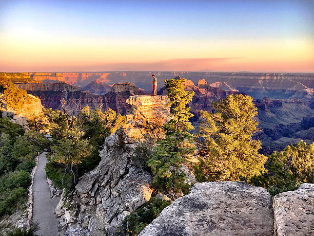 sopra bright angel - coconino national forest foto e immagini stock