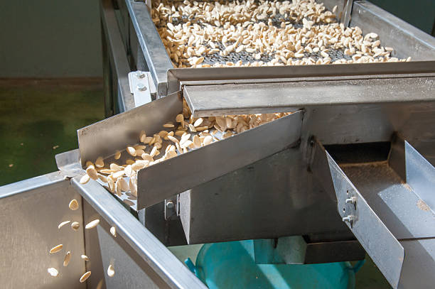 istock The working of almonds 611102272