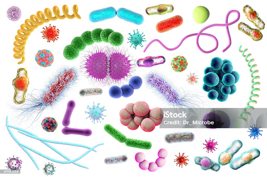 Mikroba dengan bentuk yang berbeda - Bebas Royalti Latar belakang putih Foto Stok