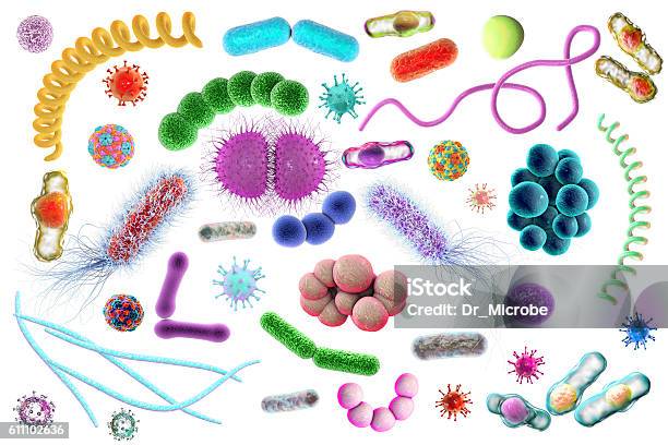 Mikroba Dengan Bentuk Yang Berbeda Foto Stok - Unduh Gambar Sekarang - Latar belakang putih, Bakteri - Prokariota, E. coli