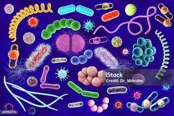 Mikroba Dengan Bentuk Yang Berbeda Foto Stok - Unduh Gambar Sekarang - Bakteri - Prokariota, Bakteri gonorea, Bentuk