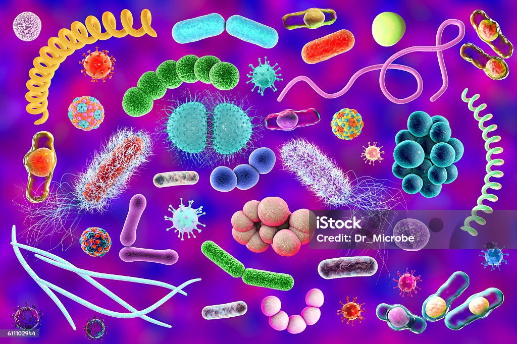 Mikroba dengan bentuk yang berbeda - Bebas Royalti Bakteri - Prokariota Foto Stok