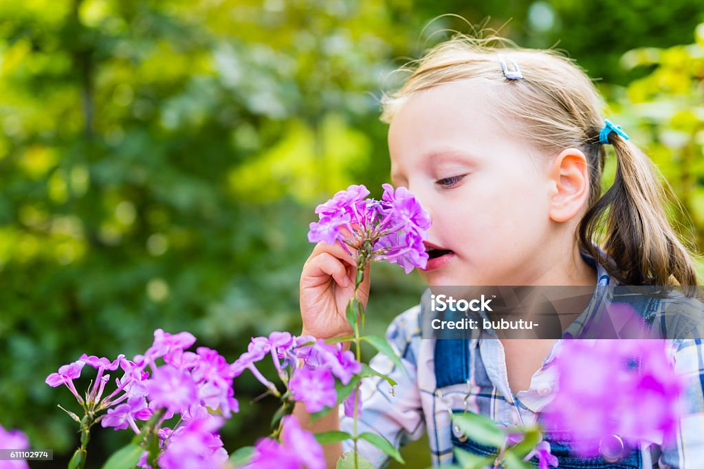 Niña Hermosa Niña Huele Flores Púrpuras En El Jardín Foto de stock y más  banco de imágenes de Adulto - iStock