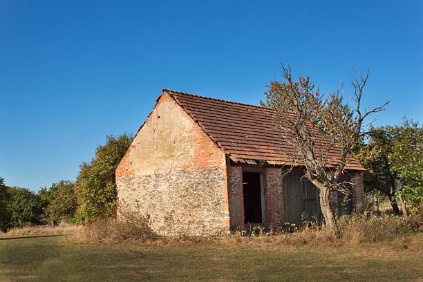 istock Old abandoned barn and dead tree. Abandoned farm 611106382