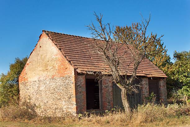 istock Old abandoned barn and dead tree. Abandoned farm 611106496