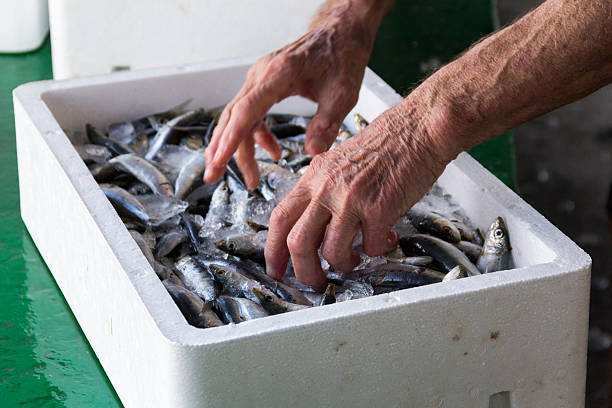 Fresh fish and shellfish in Cambrils Harbor, Tarragona, Spain. Fresh fish and shellfish in Cambrils Harbor, Tarragona, Spain. cambrils stock pictures, royalty-free photos & images