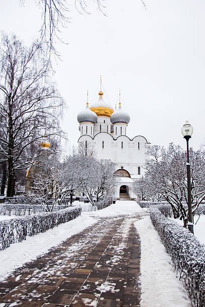 istock Novodevichy monastery. Moscow, Russia 611107624
