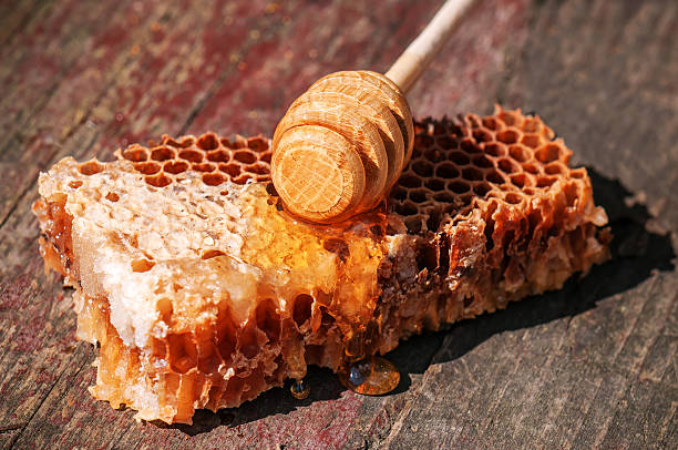 istock piece of honeycomb 611109946